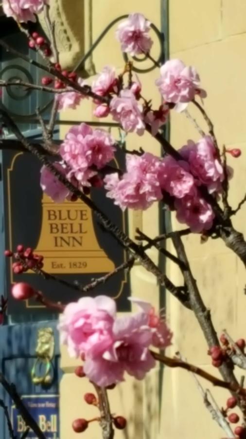Blue Bell Inn Sorell Exteriör bild